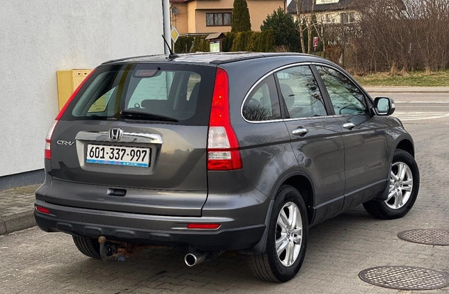 Honda CR-V cena 39997 przebieg: 199400, rok produkcji 2010 z Cedynia małe 379